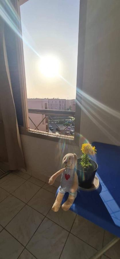 Single Bedroom In A Shared Girls Only Hosting Family * Cairo